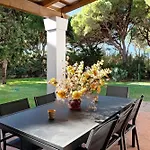 El Mirlito *