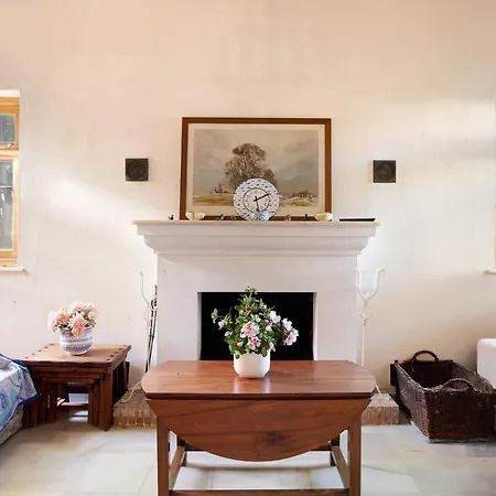El Mirlito Holiday home Roche